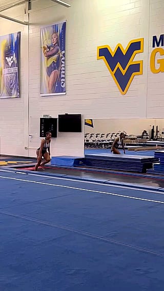 Erica Fontaine - WVU Alumni'