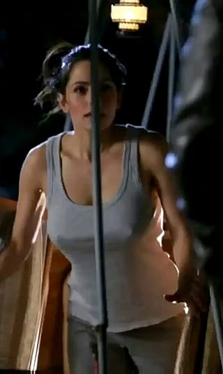 Sarah Shahi'